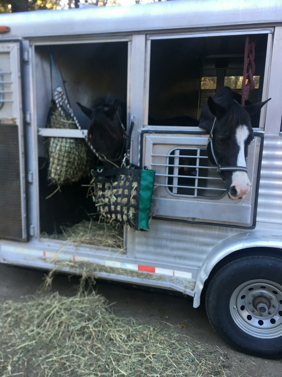 A On the road South 1731