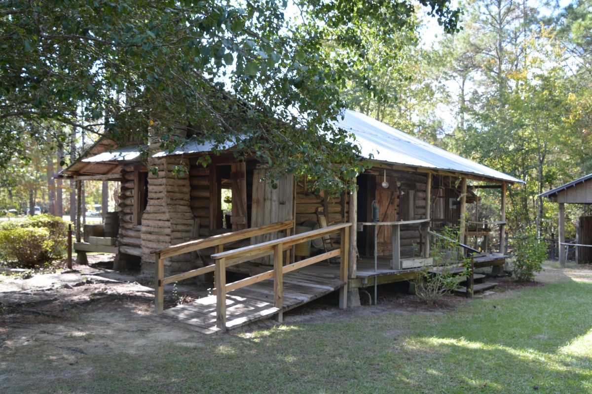 T Okefenokee Swamp Park 6679